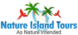 Nature Island Tours As Nature Intended